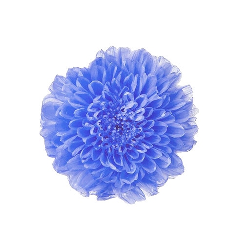 �������� ����(12) �֥롼