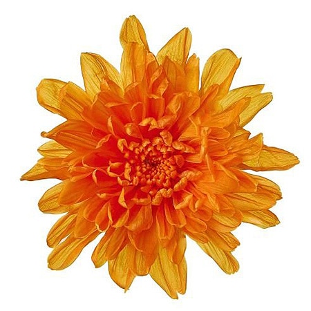 �������� ���Ȥ͵�(6) �����