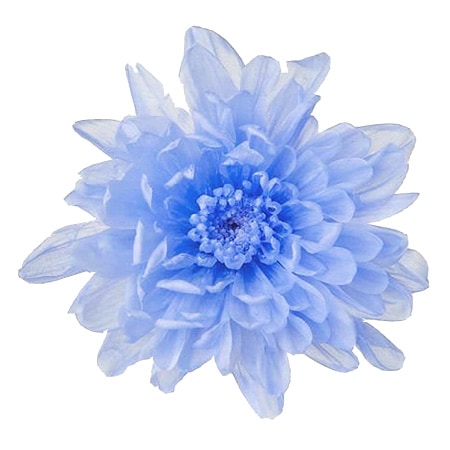 �������� ���Ȥ͵�(6) �֥롼