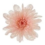 �������� ���Ȥ͵�(6) �ԥ󥯥�����