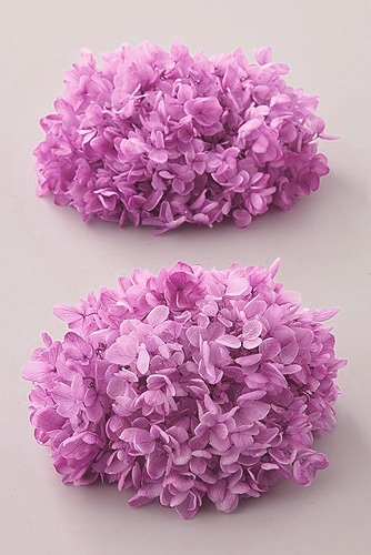 �������� �ԥ�ߥåɥ����������ե쥢���إå� �ԥ�