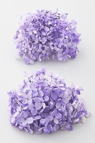  ԥߥåɥե쥢إå ѡץ