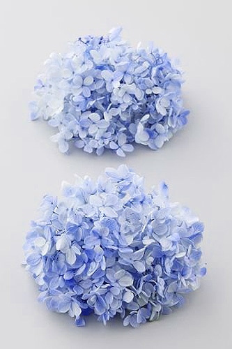 �������� �ԥ�ߥåɥ����������ե쥢���إå� �֥롼