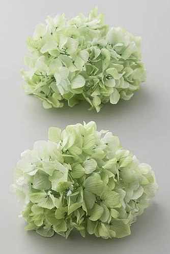  ᥢե쥢إå 饤॰꡼