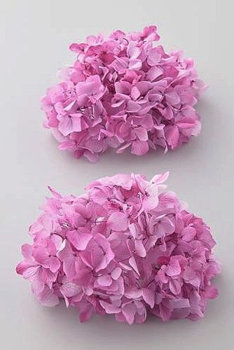 �������� ��ᥢ���������ե쥢���إå� �ԥ�