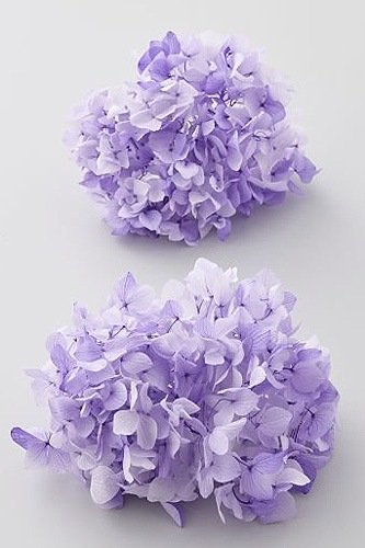 小さな花とゆめの世界 ❁⃘*.゜オーダー予約 大地農園 ゆめアジサイ・フレア・ヘッド パープル | プリザーブド