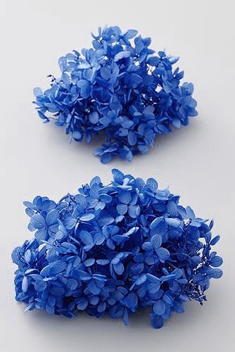 �������� �ԥ�ߥåɥ����������إå� �֥롼