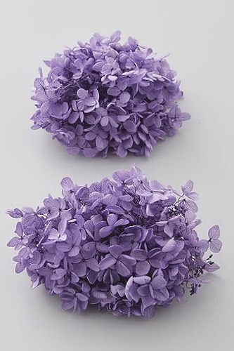 �������� �ԥ�ߥåɥ����������إå� �ѡ��ץ�