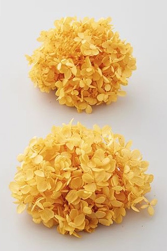 �������� �ԥ�ߥåɥ����������إå� �ߥ⥶��������