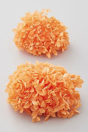 �������� �ԥ�ߥåɥ����������إå� �ե롼�ƥ��������