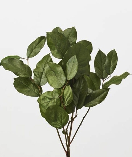 �������� ����꡼�� �ʥ����륰�꡼��