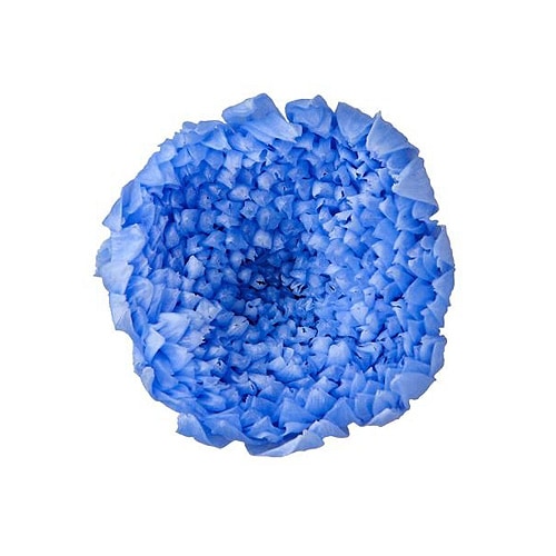 �������� �صƎ���(9) �֥롼