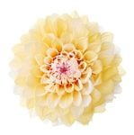  ꥢ쥤ʥǡˡ2 ץꥳå