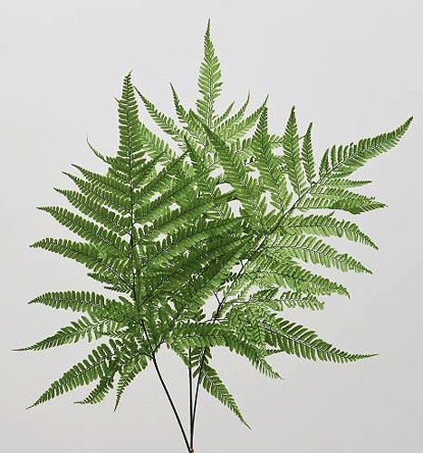 �������� �ҥ���ӎ��ץꥶ���֥� ���꡼��