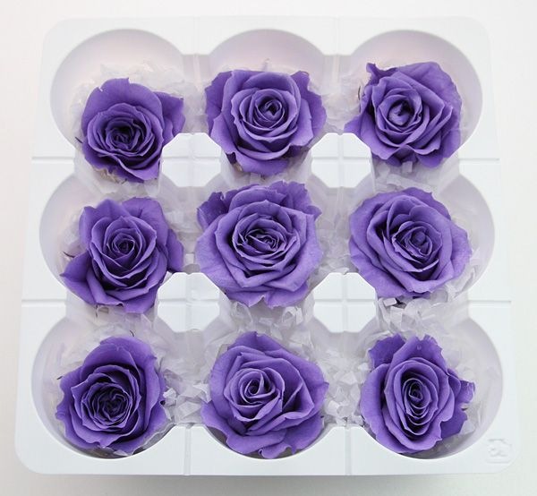 ��Outlet��ON �����������ߎ���٥����