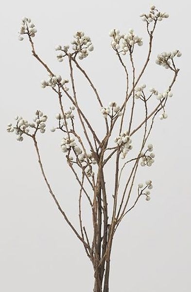 �������� �ʥ󥭥�ϥ������ƥ��դ� N