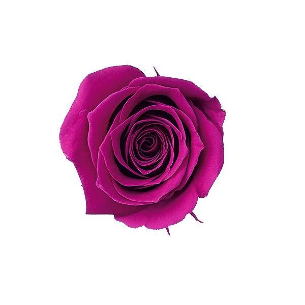 �������� �ӥӥ���(24) ����