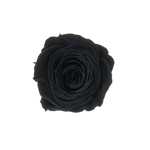 �������� �ӥӥ���(24) ��