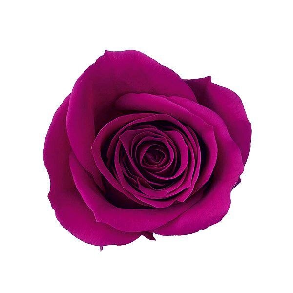 �������� ��������������(9) ����