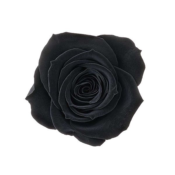 �������� ��������������(9) ��