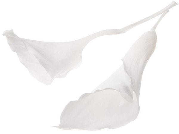 �������� ���顼��꡼����(3) ��