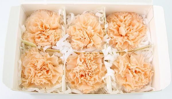 ��Outlet��Fe �����͡�����󎥥ԡ���