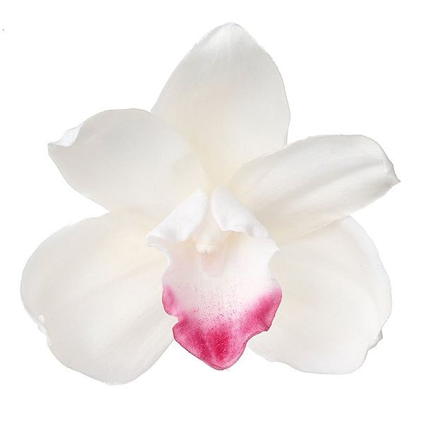 �������� ����ӥ��塼��(3) �� 