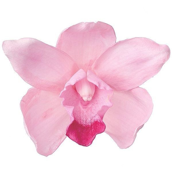 �������� ����ӥ��塼��(3) �ԥ�