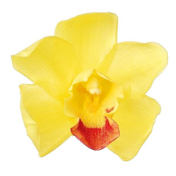 �������� ����ӥ��塼��(3) ��������