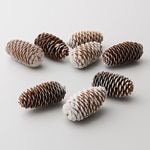 �������� �ȥ��Ҏ��� ���Ρ�