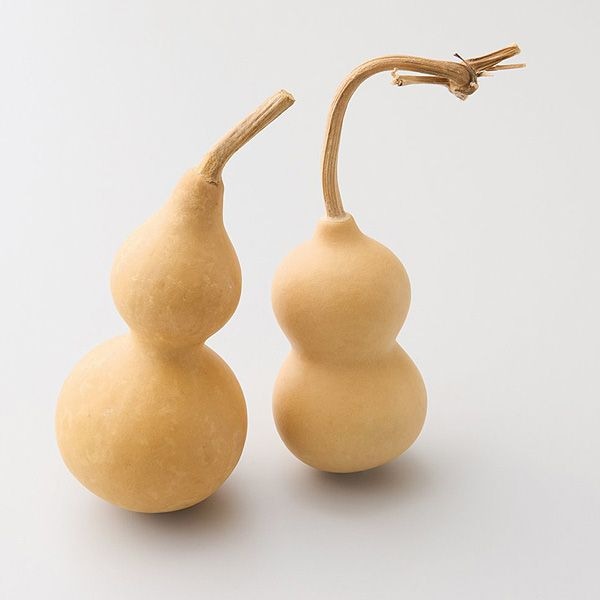 大　ひょうたん　乾燥　素材　２個 大 ひょうたん 乾燥 素材 2個 【公式通販】