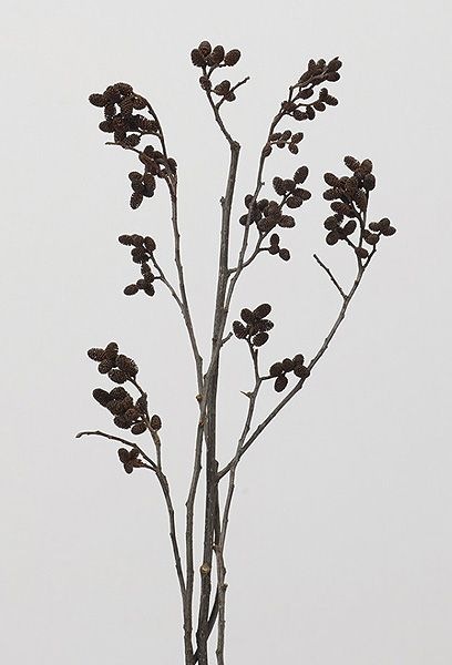 �������� �䥷��֡����ƥ��դ� N