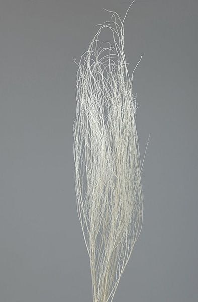 �������� �ۡ��������������� ��