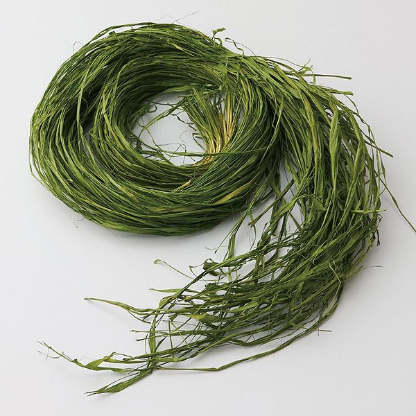 �������� �ޥ����������ե��� ���꡼��