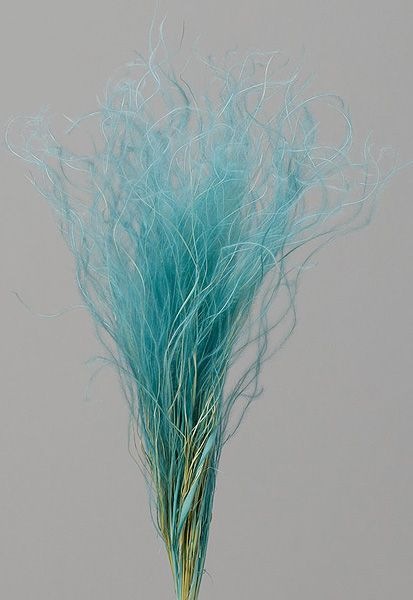 �������� �ե��������饹 �����������֥롼