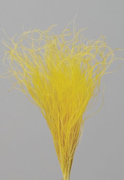 �������� �ե��������饹 ��������