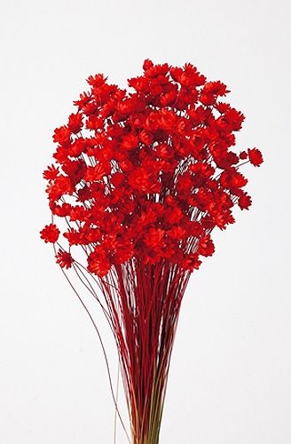 �������� �������ե����֥��å��� ��å�