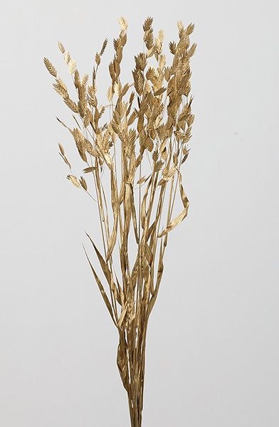 �������� �磻��ɥ����� �������