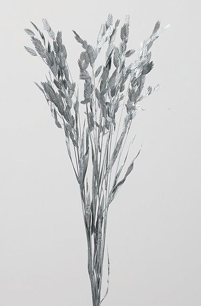 �������� �磻��ɥ����� ����С�