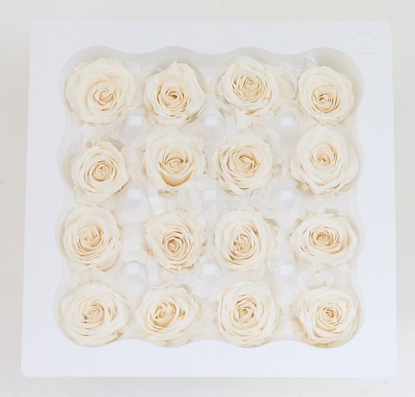 ��Outlet��ON �ץ����㡼���åȎ��ԥ奢�ۥ磻��