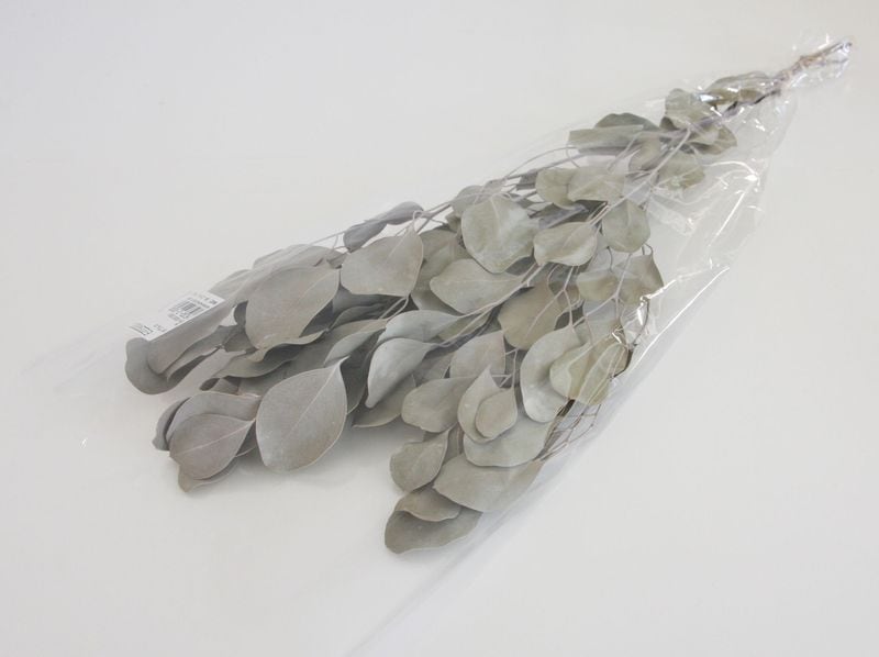 ��Outlet��ON �ݥץ륹 N