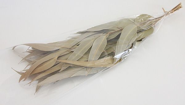 ��Outlet��ON ���������桼���� NG