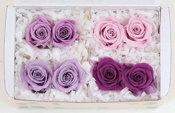 ��Outlet�ۥե����륨�С� ���ץ졼�����������ꥸ�ʥ륢������(2x4) �ѡ��ץ�ϥߥå���