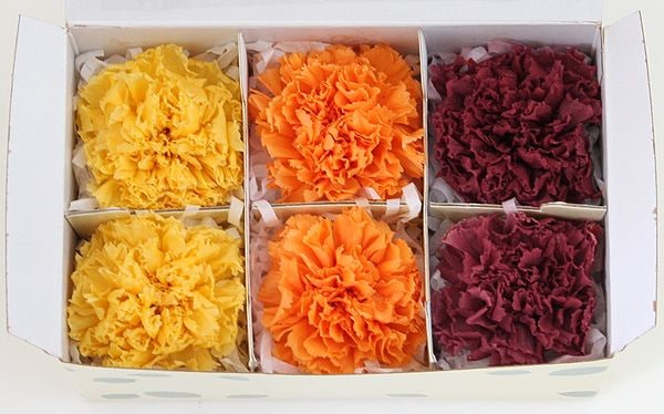 ��Outlet�ۥե����륨�С� �����͡�����󎥥��ꥸ�ʥ륢������(2x3) �Х饨�ƥ����ߥå��� B