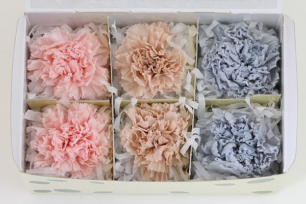 ��Outlet�ۥե����륨�С� �����͡�����󎥥��ꥸ�ʥ륢������(2x3) �Х饨�ƥ����ߥå��� F