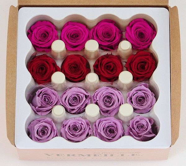 ��Outlet�ۥ��������� �����������ꥸ�ʥ륢������(4x4) �Х饨�ƥ����ߥå��� A