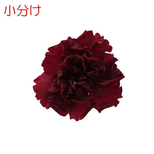 �ھ�ʬ����Florever �ߥ˥����͡������(4) �磻��