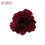 ھʬFlorever ߥ˥͡(4) 磻