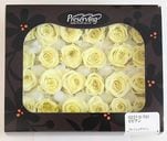 ��Outlet��ON �ӥӥ��󎥥ե�å��奰�꡼��