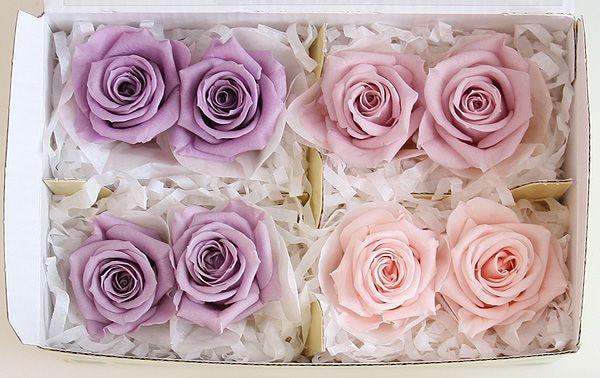 ��Outlet��Fe ���ץ졼���������ߥå���A